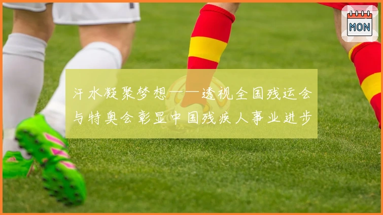 汗水凝聚梦想——透视全国残运会与特奥会彰显中国残疾人事业进步